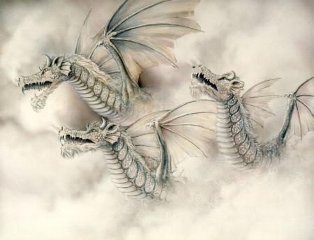 les dragons!!!